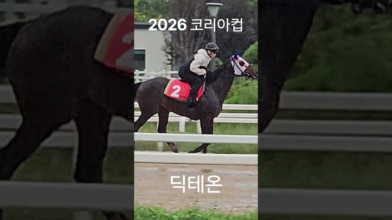 [2026 코리아컵 / 딕테온 / 9월 1일] #KoreaCup #딕테온 #Diktaean #ディクテオン #선데이펀데이 #サンデーファンデー #SundayFunday