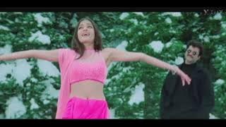 Hamara dil Aapke pas hai |Alka yagink , udit narayan||