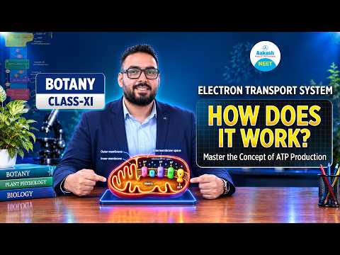 ELECTRON TRANSPORT SYSTEM