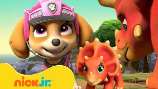 baby animal dinosaur rescues skye paw patrol nick jr