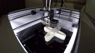 Printing video - Jennyprinter (Ultimaker 2 Extended Clone)