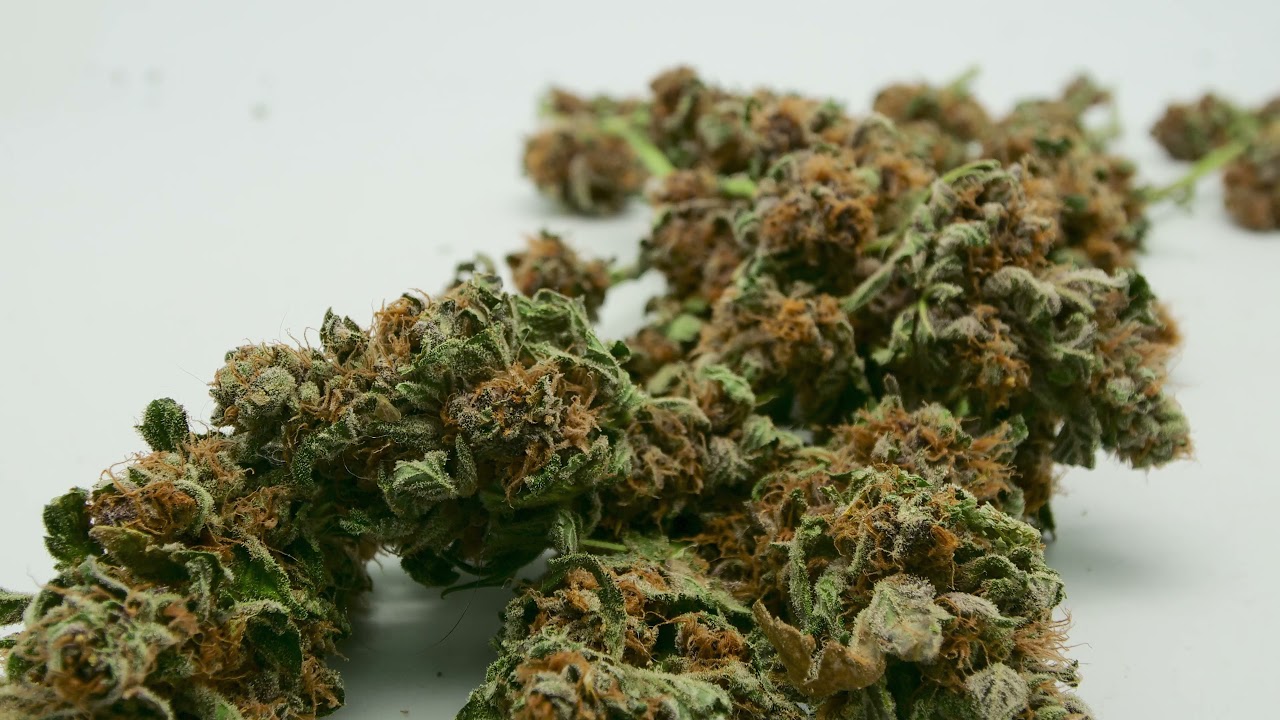 #03 Free to use! - 4K Cannabis dry Time lapse