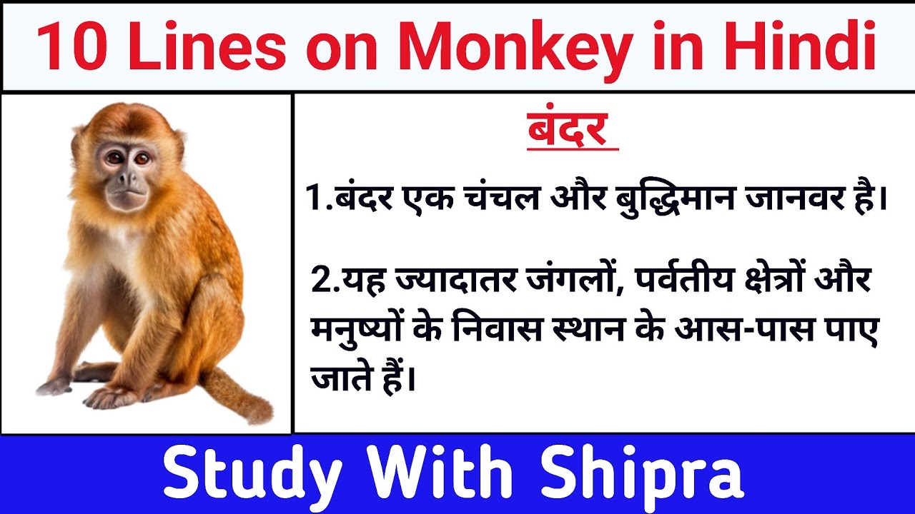 10 Lines on Monkey in Hindi | Short Essay on Monkey | 10 पंक्तियां बंदर पर | 🐒🐒