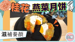 【桂花糕食谱】天然花香撲鼻，滋補養顏燕菜月饼甜品桂花糕食谱 Osmanthus Jelly Mooncake #jellymooncake #燕菜月饼 #桂花糕食谱