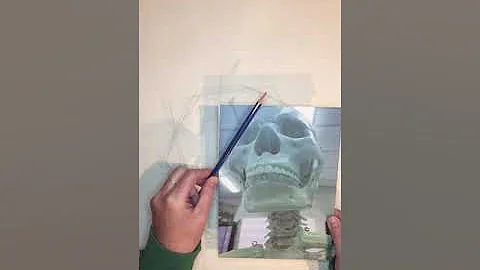 Mrs. DeSimone - Building Up Your Skull Drawing - S...
