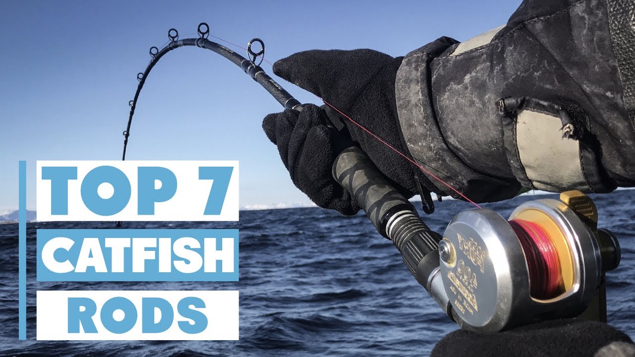 7 Best Catfish Rods for Ultimate Fishing Success - YouTube