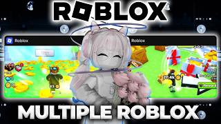 How To Run Multiple Roblox Accounts At The Same Time | Finally Working in 2026