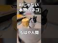 カワウソとか良く言われますが本物の猫がこちらです【水神級ネコ】#保護猫 #cat #風呂猫 #猫の洗い方