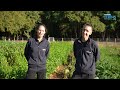 La Ferme communale de Mougins - Zoom sur mon assiette - Cannes Lérins TV