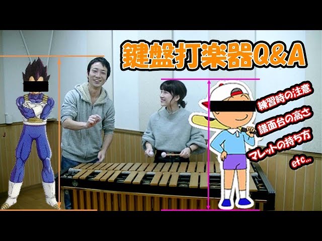 マレットとスティックの握り方は違う？】マリンバやヴィブラフォン