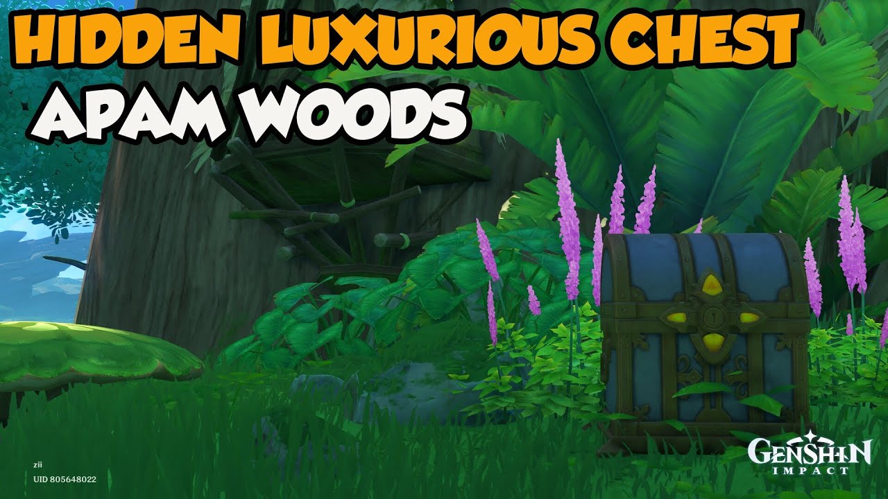 Hidden Luxurious Chest Apam Woods【Genshin Impact】 YouTube