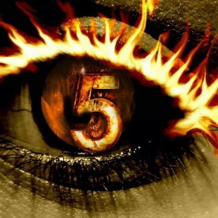 The Big 5 - Africa's biggest Asset is its Game - Protect your Investment