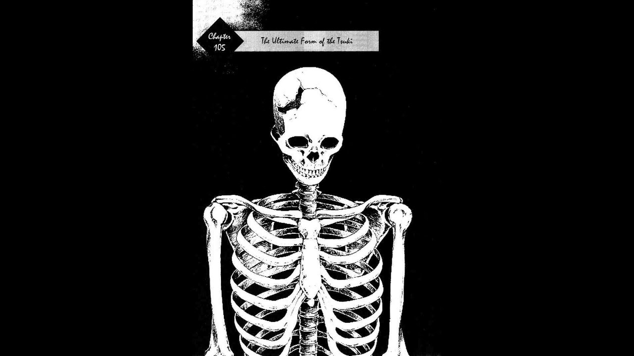 12 Days of Anime: Shamo (Day 6) - YouTube