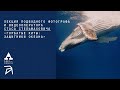 Горбатые киты защитники океана Станислав Стельмахович 