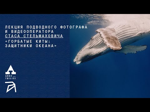Горбатые киты защитники океана Станислав Стельмахович 