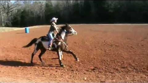 Swing -вαяяєℓ яαcιηg & ρσℓє вєη∂ιηg