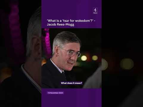 “what is a ‘tsar for wokedom’? - jacob rees-mogg