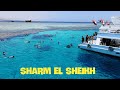 🇪🇬 SHARM EL SHEIKH - Egypt attraction | Aqua Blu | Reef Oasis Blue  | Шарм-эль-Шейх | شرم الشيخ