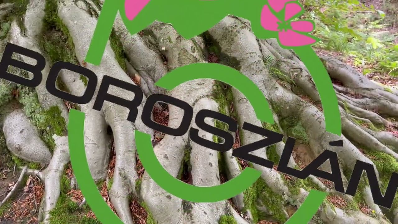 Hogyan öntözzük a gyepet? 1. rész - az öntözés ideje