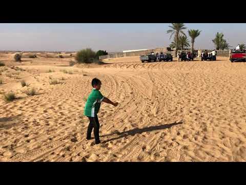 Oasis at the Dubai Desert Conservation Reserve