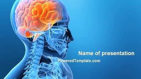 Brain In Skull PowerPoint Template by PoweredTemplate.com