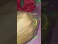 #claysupar #trendingvideo #ceramicart #shortvideo #satisfyling clay #viralvideo #creativeclay clay #