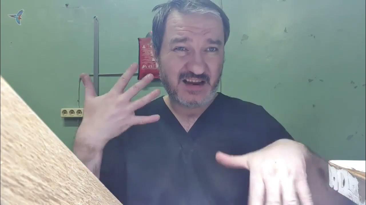 видео для глухих. видеоролик глухие. виде глухих. Deaf новости. деаф для глухих девушка.