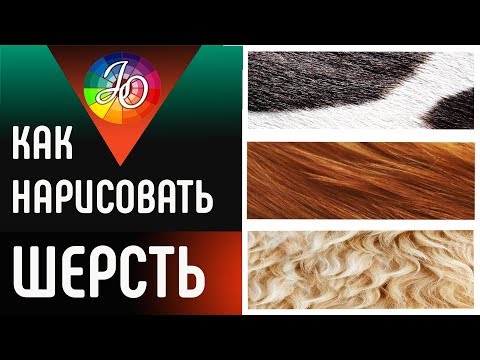 МАСТЕР-КЛАСС. Как нарисовать шерсть или мех цветными карандашами