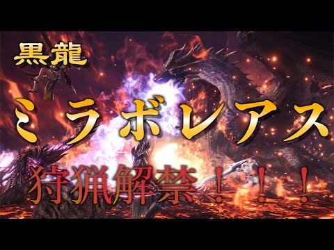 ミラボレアスついに狩猟解禁 Mhw アイスボーン Youtube