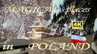 Celebrity Magic POLAND 4K Wealth