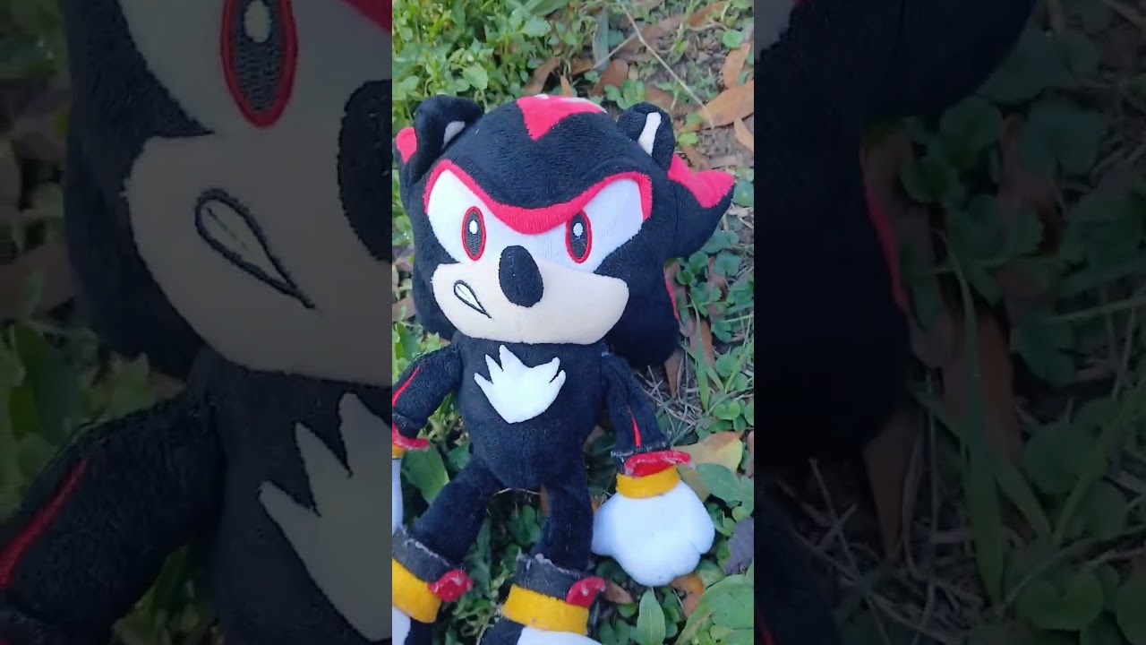 Sonic goes on an adventure.