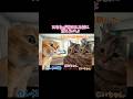 【猫ミーム】ママが欲しい。。。 #shorts #猫ミーム #猫 #猫マニ #実話