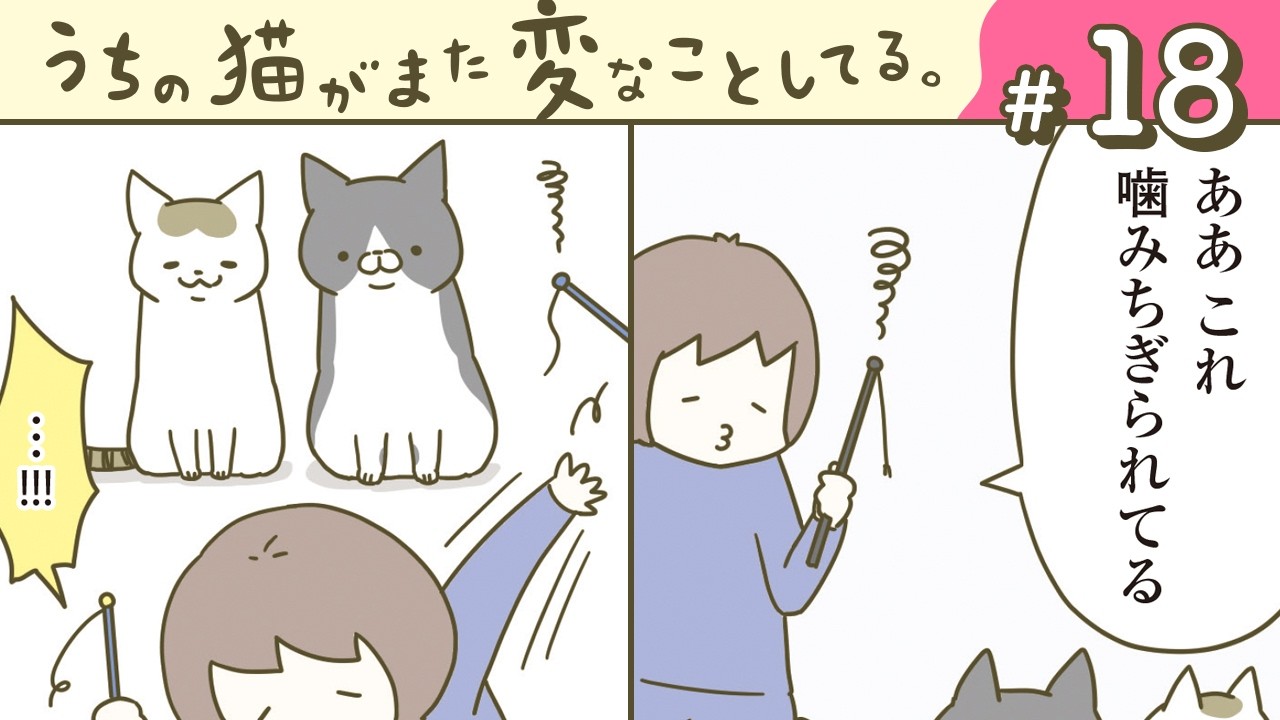 【漫画】トンちゃんの発声/気づいた時には/他(CV:悠木碧、小市眞琴、森永千才、平川嵐)|『うちの猫がまた変なことしてる。』(18)【マンガ動画】ボイスコミック