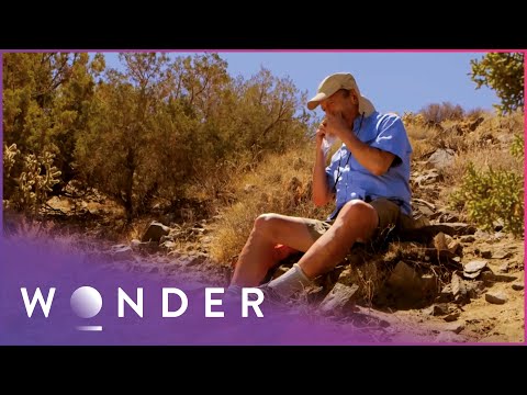 Getting Lost In The Blazing Heat Of The Wilderness | Fight To Survive S3 EP3 | Wonder