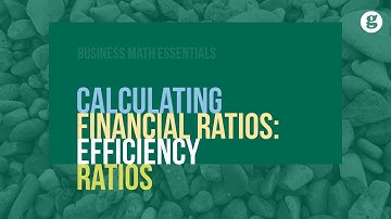 Calculating Financial Ratios Efficiency Ratios