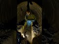 I Put a Camera on Rabbit entering burrow