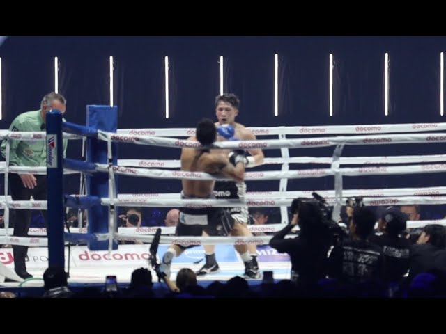 プロ格ヒーローズ　井上尚弥VSルイスネリ　ボクシングフィギュア プロ格ヒーローズ 井上尚弥VSルイスネリ ボクシングフィギュア