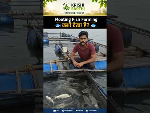 Floating Fish Farming 😳 बहते पानी पर मछली पालन! ये कैसे possible है?