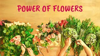 WINGs Power of Flowers