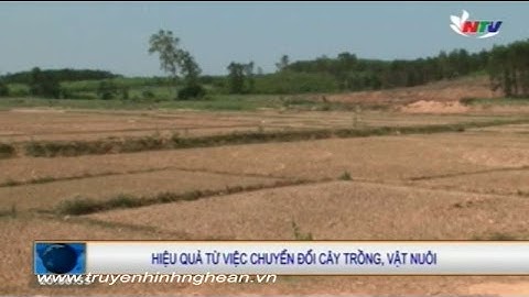 Hiệu quả từ việc chuyển đổi cây trồng, vật nuôi