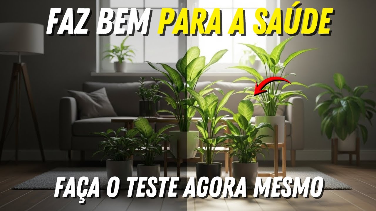 10 Plantas de Interior Que Transformarão Sua Saúde Instantaneamente