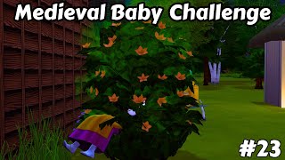 Sims 4 Medieval Baby Challenge #23