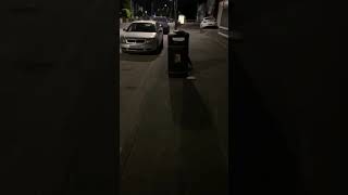 Fox On The Street In London Londra Tilkiler Cadde Ve Sokaklarda