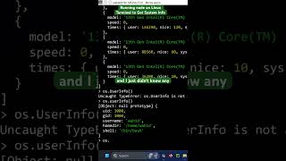Running node on Linux Terminal to Get System Info