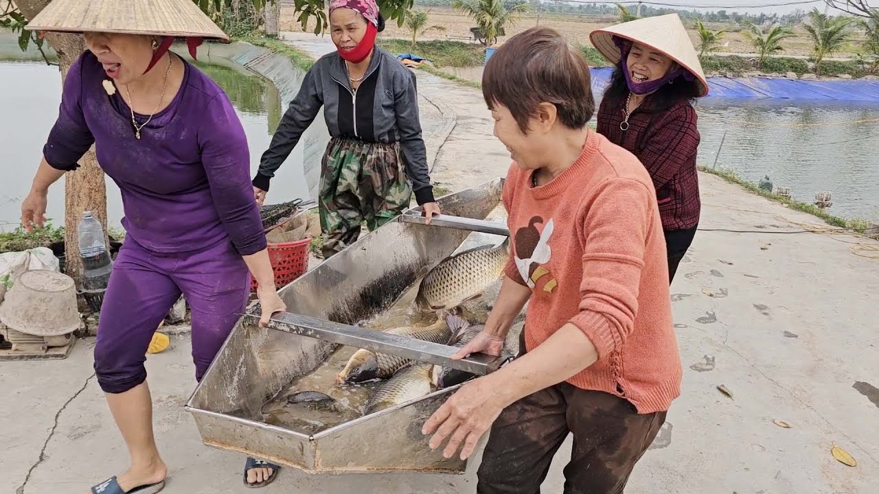 Thủy quái đáy ao Bỏ vào nồi khế chua ăn khỏi bàn các Bác à
