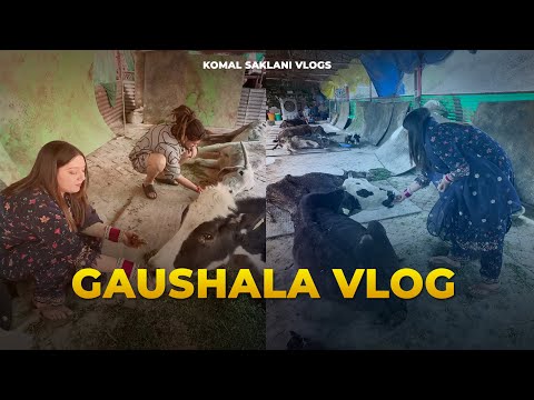 गौशाला Jake pede khilaye Gau mata ko || Komal Saklani vlog
