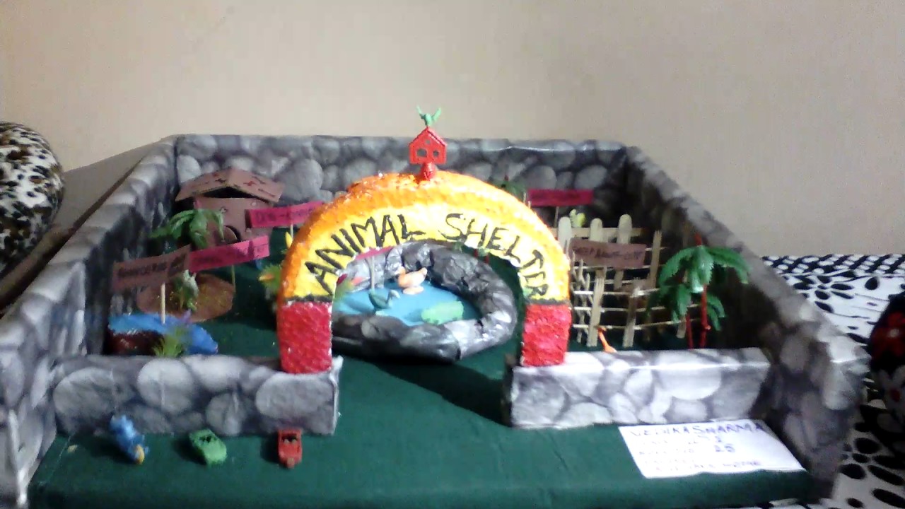 Animals home - YouTube