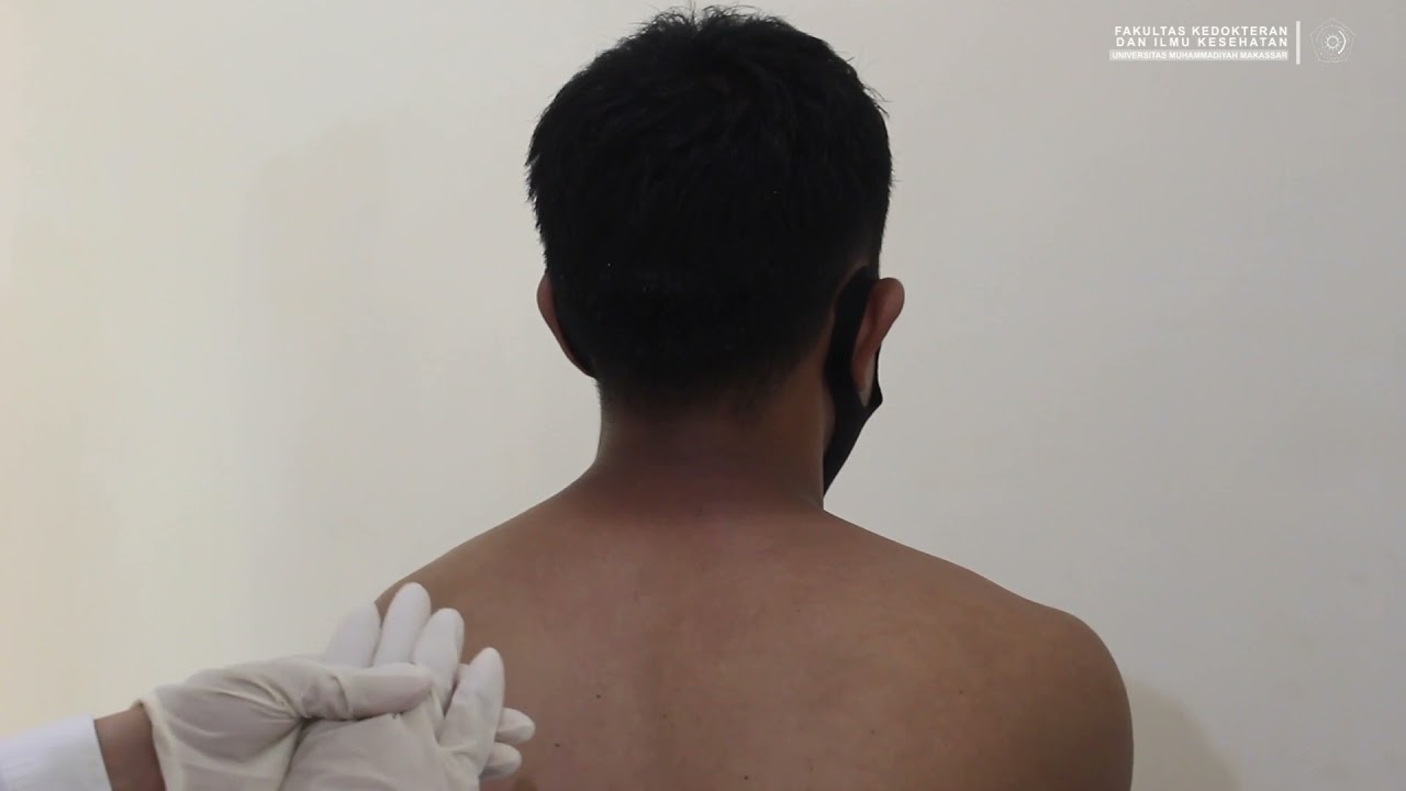 CSL II - Pemeriksaan Fisik