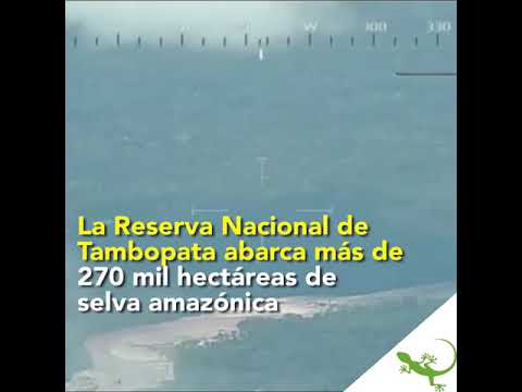 YouTube video JefpSrfGvik thumbnail