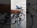 Rop holder Decoration #technology #electrician #shorts #short #decoration #electrical #light